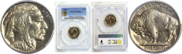 1927 Buffalo Nickel  -  PCGS MS-66+