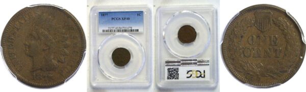 1877 Indian Head Cent  -  PCGS XF-40