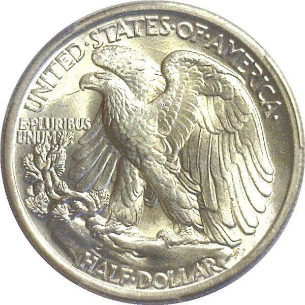 1934 Walking Liberty Half Dollar  -  PCGS MS-66+ - Image 3