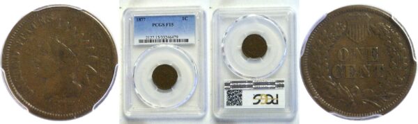 1877 Indian Head Cent  -  PCGS F-15