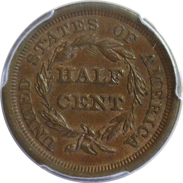 1851 Half Cent. -  PCGS AU-58 - Image 3