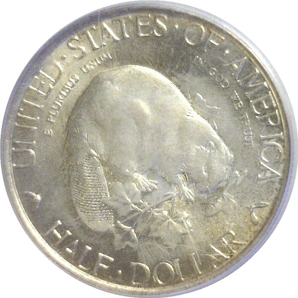 1936 Albany Commemorative Half Dollar  -  PCGS MS-64 - Image 2