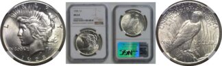 1928 Peace Dollar    NGC MS-63
