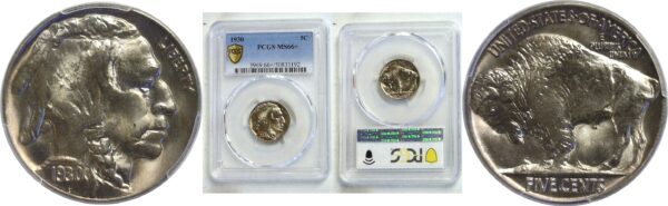 1930 Buffalo Nickel  -  PCGS MS-66+