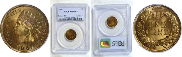 1901 Indian Head Cent -  PCGS MS-66 RD