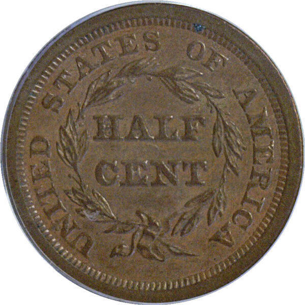 1851 Half Cent  -  PCGS MS-62 BN - Image 3
