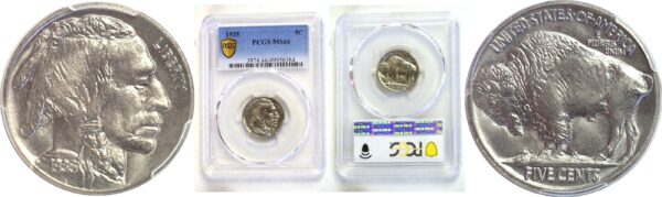 1935 Buffalo Nickel. -  PCGS MS-66