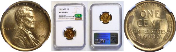 1909-VDB Lincoln Cent. -  NGC MS-66+ RD. CAC