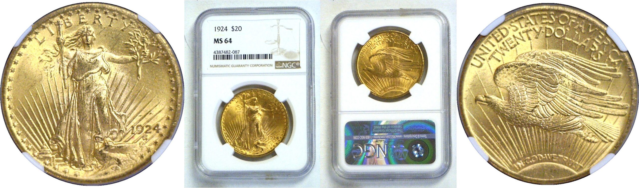 1924 $20 St. Gaudens  -  NGC MS-64