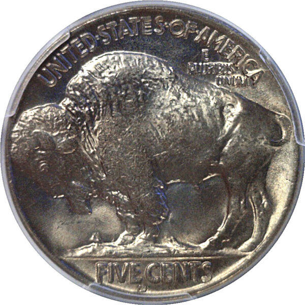 1929-D Buffalo Nickel  -  PCGS MS-65 - Image 3
