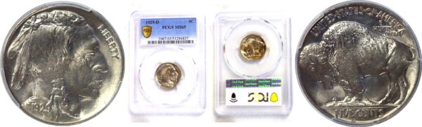 1929-D Buffalo Nickel  -  PCGS MS-65
