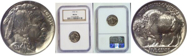1934 Buffalo Nickel.  -   NGC MS-66