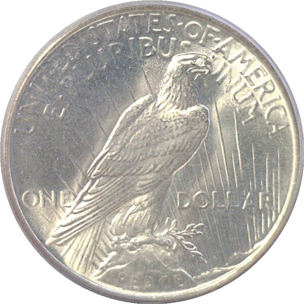 1927-D Peace Dollar  -  PCGS MS-63 - Image 3