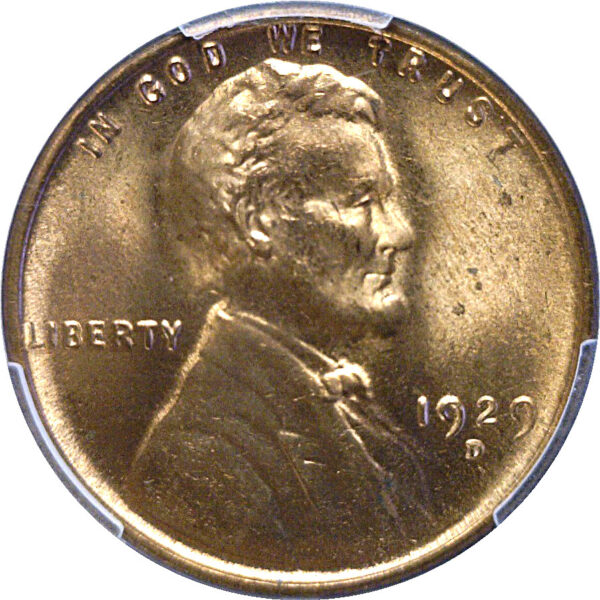 1929-D Lincoln Cent  -  PCGS MS-65 RD - Image 2