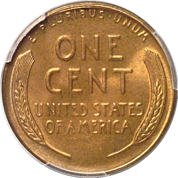 1934-D Lincoln Cent  -  PCGS MS-67 RD - Image 3