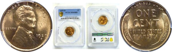 1929-D Lincoln Cent  -  PCGS MS-65 RD