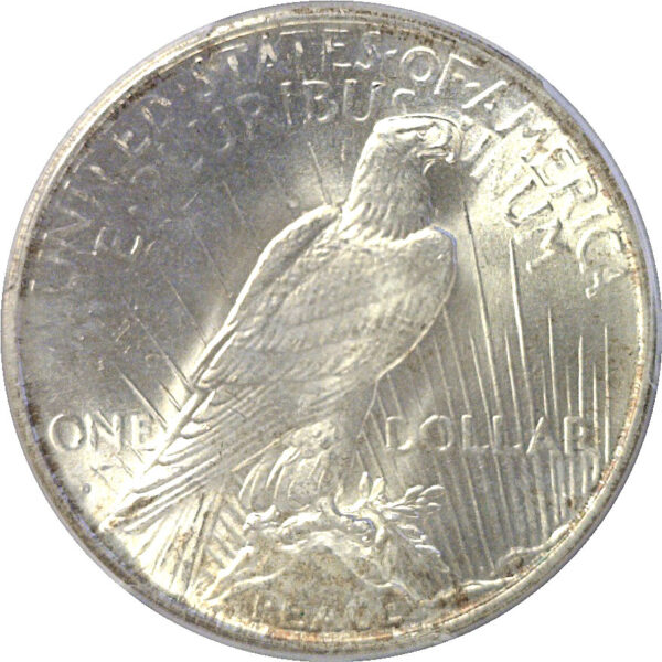 1934-D Peace Dollar  -  PCGS MS-66 - Image 3