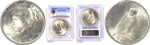 1934-D Peace Dollar  -  PCGS MS-66