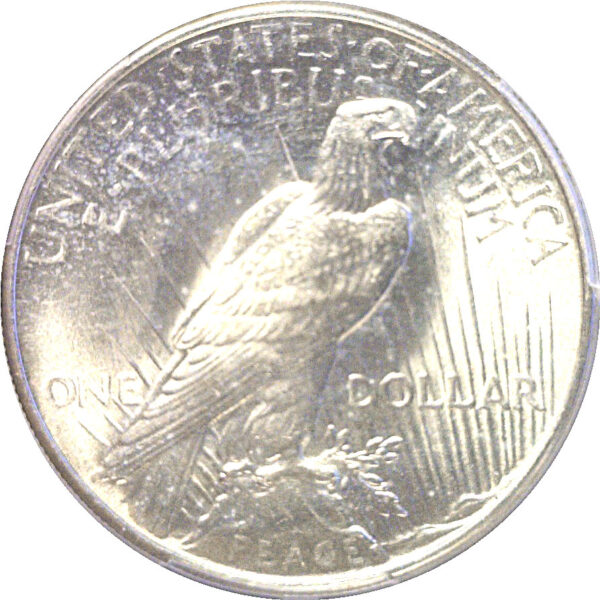 1934 Peace Dollar   -  PCGS MS-62 - Image 3