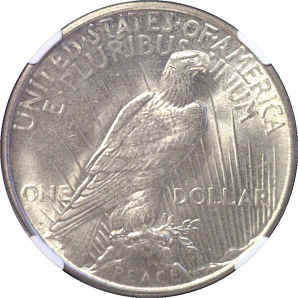 1927-D Peace Dollar  -  NGC MS-64 - Image 3