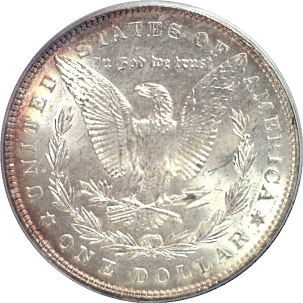 1903 Morgan Dollar  -  PCGS MS-65 - Image 3