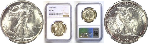 1929-D Walking Liberty Half Dollar. -  NGC MS-66