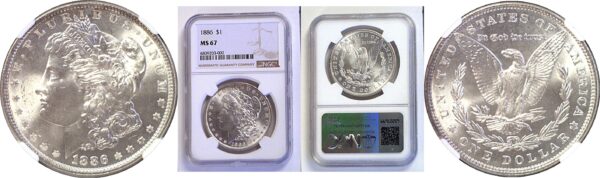 1886 Morgan Dollar. -  NGC MS-67