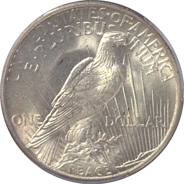 1921 Peace Dollar  -  PCGS MS-64   CAC - Image 3
