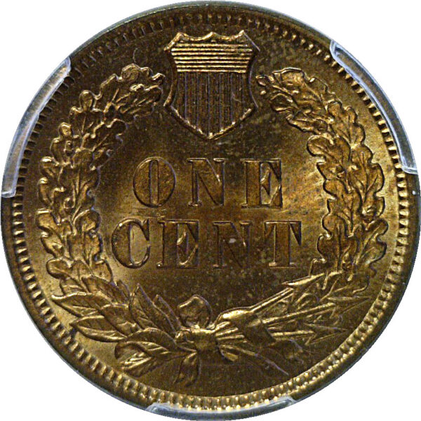 1902 Indian Head Cent   -  PCGS MS-64 RD - Image 3