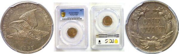 1857 Flying Eagle Cent  -  PCGS MS-61