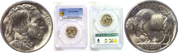 1923 Buffalo Nickel. -  PCGS MS-66