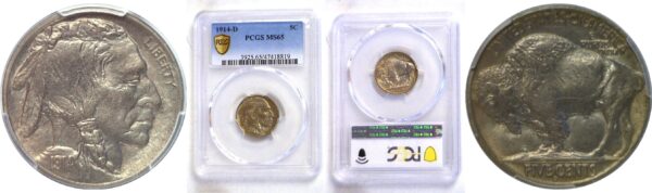 1914-D Buffalo Nickel  -  PCGS MS-65