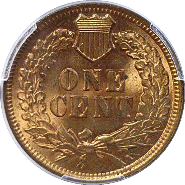 1902 Indian Head Cent  -  PCGS MS-64 RD.  CAC - Image 3