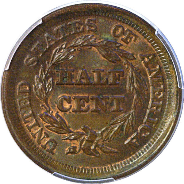 1853 Half Cent. -  PCGS MS-65+. CAC - Image 3