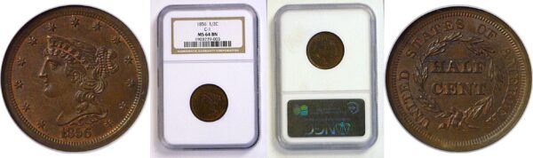 1856 Half Cent  -  NGC MS-64 BN