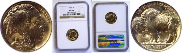 1926 Buffalo Nickel  -  NGC MS-65