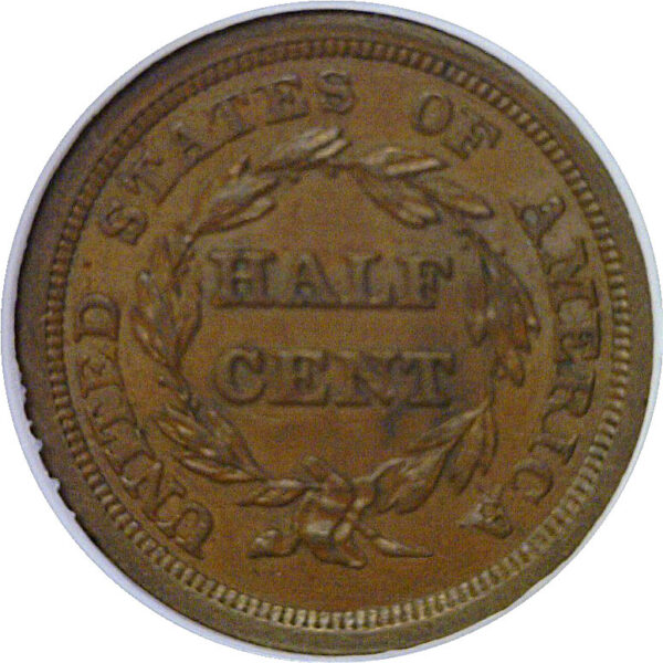 1854 Half Cent.  -   NGC MS-63 BN - Image 3