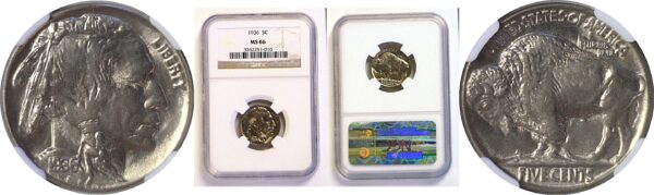 1936 Buffalo Nickel. -  NGC MS-66
