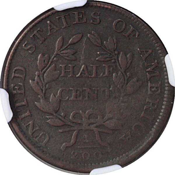 1806 Half Cent  -  NGC F-12 - Image 3