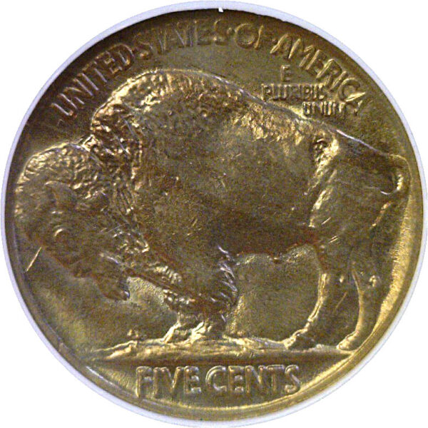 1919 Buffalo Nickel  -  NGC MS-64 - Image 3