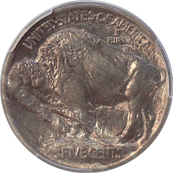 1913 T-1  Buffalo Nickel  -  PCGS MS-65 - Image 3