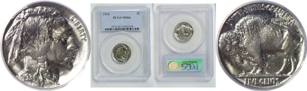 1934 Buffalo Nickel.  -   PCGS MS-66