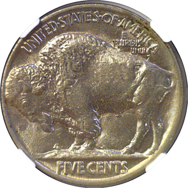 1920 Buffalo Nickel  -  NGC MS-64 - Image 3