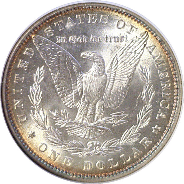1886 Morgan Dollar  -  NGC MS-67 - Image 3