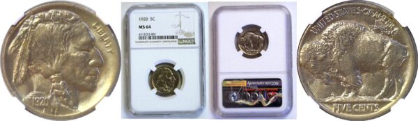 1920 Buffalo Nickel  -  NGC MS-64