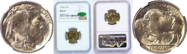 1928-D Buffalo Nickel  -  NGC MS-64  CAC
