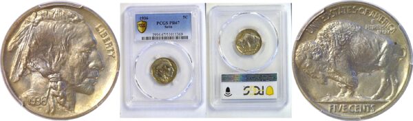 1936 Buffalo Nickel  -  PCGS PR-67