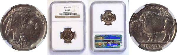1936-D Buffalo Nickel   -   NGC MS-66