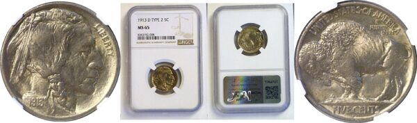 1913-D T-2  Buffalo Nickel  -  NGC MS-65