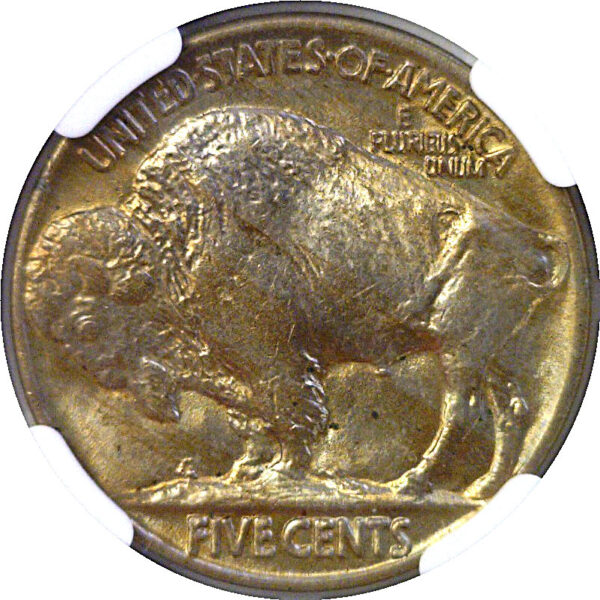 1917 Buffalo Nickel  -  NGC MS-64 - Image 3